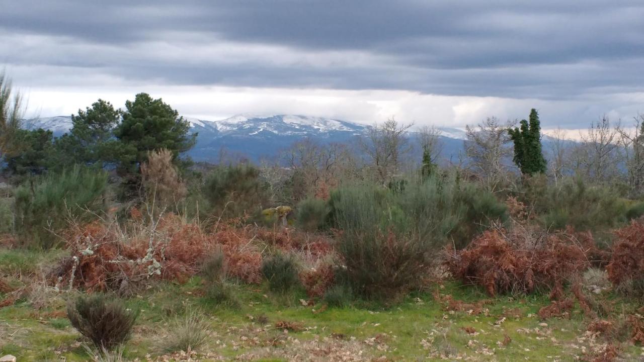 Casas da Fraga - Serra da Estrela Fornos de Algodres Exterior foto
